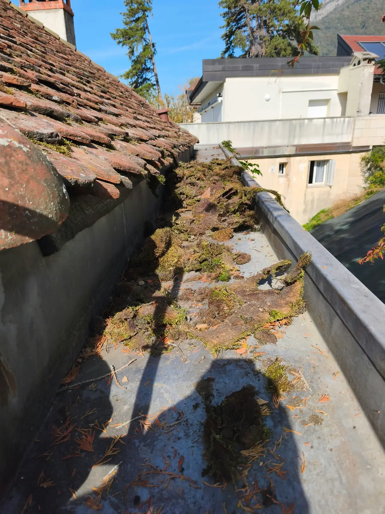 Chéneau en métal au pied d'une toiture en tuiles, encombré de plaques de mousse et d'aiguilles, maisons voisines au fond