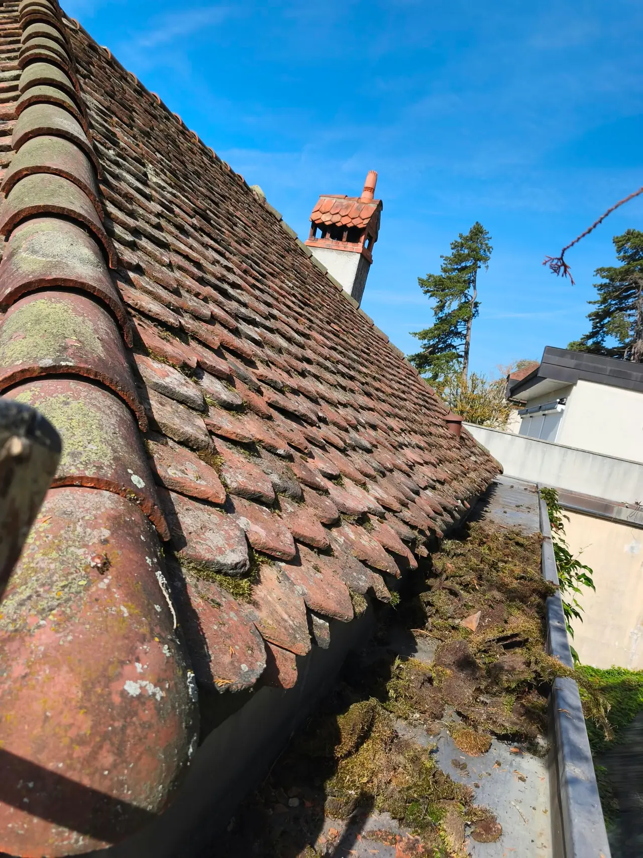 Toiture en tuiles plates écailles couverte de mousse et de lichens, faîtières au premier plan, cheminée au fond et chéneau encombré de mousse en bas